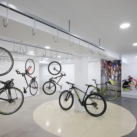 酒店 维多利亚名誉酒店 3*